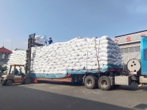 把握機(jī)遇、鉚足干勁、承勢(shì)而上