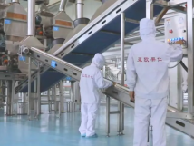 2025年的第一個(gè)月，承德亞歐果仁有限公司在山杏產(chǎn)業(yè)的道路上持續(xù)奮進(jìn)，展現(xiàn)出蓬勃的發(fā)展活力。